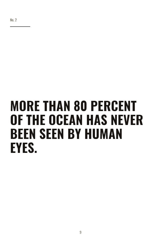 A poster-style interior page: one fact set in very large type across an otherwise empty page
